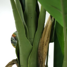 BANANA TREE NP017_240_22 ΥΨΟΣ 240cm NewPlan