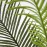 PALM TREE NP0266_140 ΥΨΟΣ 140cm NewPlan
