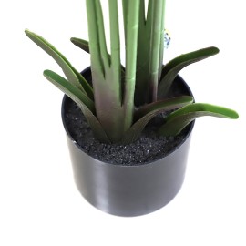 BANANA TREE NP1410_120 ΥΨΟΣ 120cm NewPlan