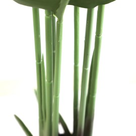 BANANA TREE NP1410_120 ΥΨΟΣ 120cm NewPlan