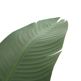 BANANA TREE NP1411_160 ΥΨΟΣ 160cm NewPlan