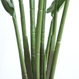 BANANA TREE NP1411_160 ΥΨΟΣ 160cm NewPlan