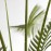 PALM TREE NP160_210_UV ΥΨΟΣ 210cm NewPlan