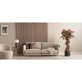 BOUGAINVILLEA NP_34_160 ΥΨΟΣ 160cm NewPlan