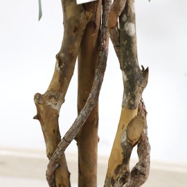 FICUS TREE NP5209_180 ΥΨΟΣ 180cm NewPlan