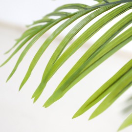 PALM TREE NP5500_240_22 ΥΨΟΣ 240cm NewPlan