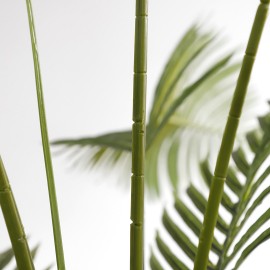 PALM TREE NP5500_240_22 ΥΨΟΣ 240cm NewPlan