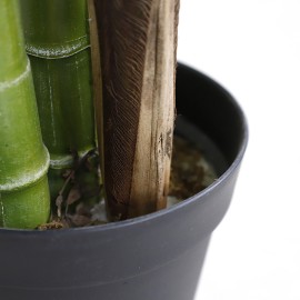 PALM TREE NP5500_240_22 ΥΨΟΣ 240cm NewPlan