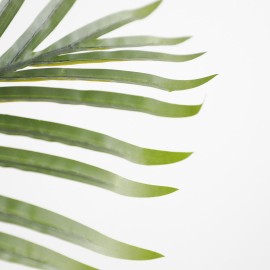 PALM TREE NP5501_210_22 ΥΨΟΣ 210cm NewPlan