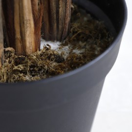 PALM TREE NP5502_180_22  ΥΨΟΣ 180cm NewPlan