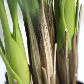 PALM TREE NP5502_180_22  ΥΨΟΣ 180cm NewPlan