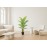 PALM TREE NP5505_150_22 ΥΨΟΣ 150cm NewPlan