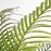 PALM TREE NP5506_180_22 ΥΨΟΣ 180cm NewPlan