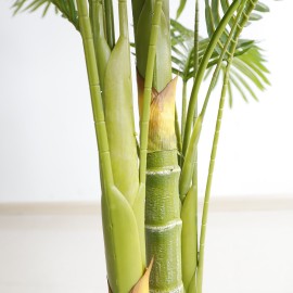 PALM TREE NP5506_180_22 ΥΨΟΣ 180cm NewPlan