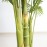 PALM TREE NP5506_180_22 ΥΨΟΣ 180cm NewPlan