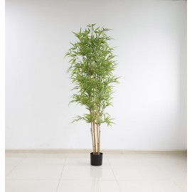 BAMBOO NP6321_180_22 ΥΨΟΣ 180cm NewPlan