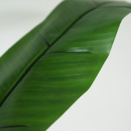 BANANA TREE NP702_145 ΥΨΟΣ 145cm NewPlan