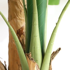 BANANA TREE NP708_220 ΥΨΟΣ 220cm NewPlan