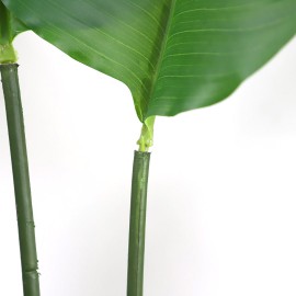 BIRD OF PARADISE NP717_160 ΥΨΟΣ 160cm NewPlan