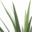 AGAVE TREE NP802_160 ΥΨΟΣ 160cm NewPlan