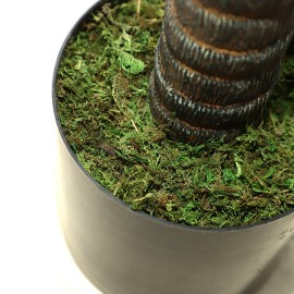 AGAVE TREE NP802_160 ΥΨΟΣ 160cm NewPlan AGAVE TREE NP802_160 ΥΨΟΣ 160cm NewPlan