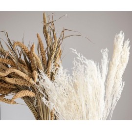 Andrea House - Αποξηραμένα Λουλούδια Setarea Natural 70cm