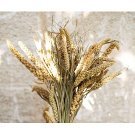 Andrea House - Αποξηραμένα Λουλούδια Setarea Natural 70cm