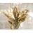 Andrea House - Αποξηραμένα Λουλούδια Setarea Natural 70cm