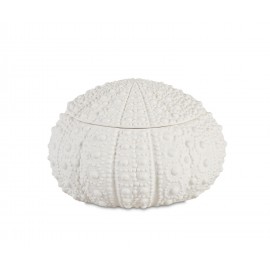 Andrea House - Κουτί Κοσμημάτων Sea Urchin D23cm