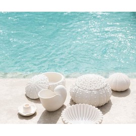 Andrea House - Κουτί Κοσμημάτων Sea Urchin D19cm