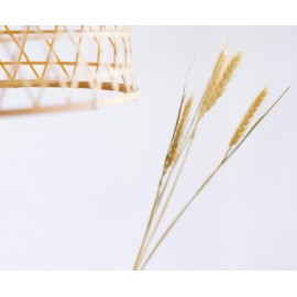 Andrea House - Αποξηραμένα Λουλούδια Wheat Natural 60cm