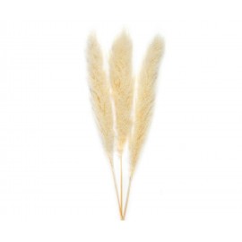 Andrea House - Αποξηραμένα Λουλούδια 3τμχ Pampas Natural 105cm