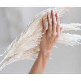Andrea House - Αποξηραμένα Λουλούδια 3τμχ Pampas Natural 105cm
