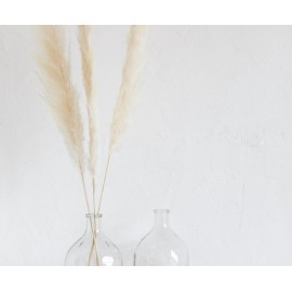 Andrea House - Αποξηραμένα Λουλούδια 3τμχ Pampas Natural 105cm