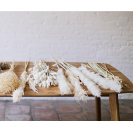 Andrea House - Αποξηραμένα Λουλούδια 3τμχ Pampas Natural 105cm