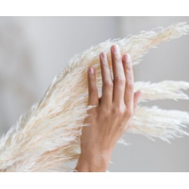 Andrea House - Αποξηραμένα Λουλούδια 3τμχ Pampas White 105cm