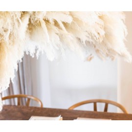 Andrea House - Αποξηραμένα Λουλούδια 3τμχ Pampas White 105cm