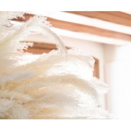 Andrea House - Αποξηραμένα Λουλούδια 3τμχ Pampas White 105cm