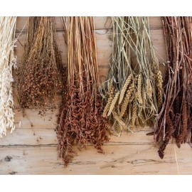 Andrea House - Αποξηραμένα Λουλούδια Lino Natural 70cm