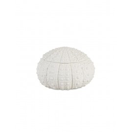 Andrea House - Κουτί Κοσμημάτων Sea Urchin D19cm