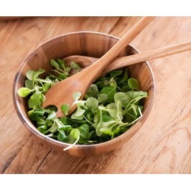 Andrea House - Σετ 2 Ξύλινες Κουτάλες Σερβιρίσματος Acacia Wood