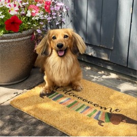 Artsy Mats - Χαλάκι Εισόδου Welcome Sausage Dog 60x40cm
