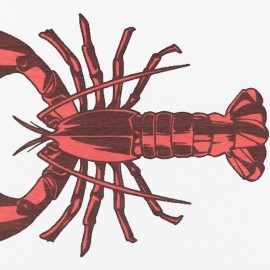 Artsy Mats - Αντιολισθητικό Πατάκι Μπάνιου Lobster White Stone 39x60cm