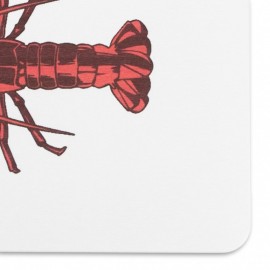 Artsy Mats - Αντιολισθητικό Πατάκι Μπάνιου Lobster White Stone 39x60cm
