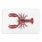 Artsy Mats - Αντιολισθητικό Πατάκι Μπάνιου Lobster White Stone 39x60cm
