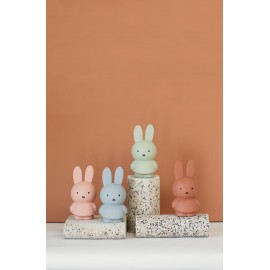 Atelier Pierre - Κουμπαράς Miffy M Eucalyptus