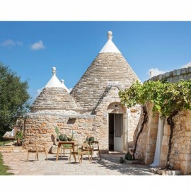 Boutique - Πολυθρόνα Sumiko Teak