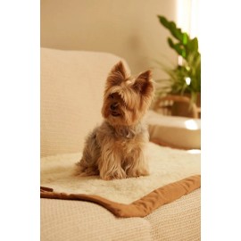 Calma House - Κουβέρτα Roll-Up Για Κατοικίδια Tedy Ecru 70x100cm Calma House - Κουβέρτα Roll-Up Για Κατοικίδια Tedy Ecru 70x100cm