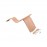 Curve Lab - Rocking Horse ΧΩΡΙΣ Βάση Perfect Arc