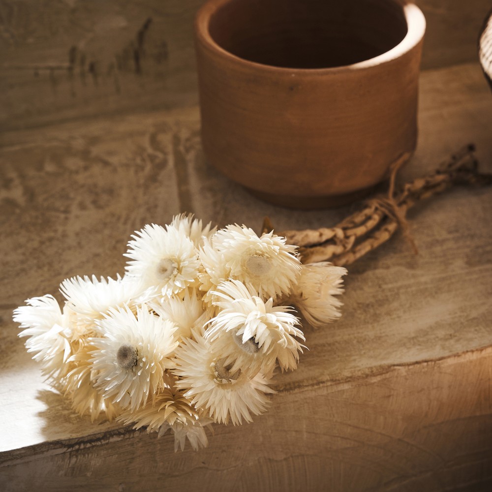  Gofis Home - Αποξηραμένα Άνθη H30cm Fouzia 114